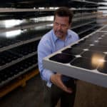 ¿Por qué instalar paneles solares en Playa del Carmen?